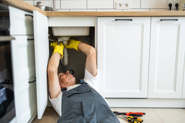 Best Plumbing Repair Near Me  in West Branch, IA